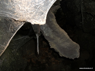 rderia-18-11-2012 12-02-40